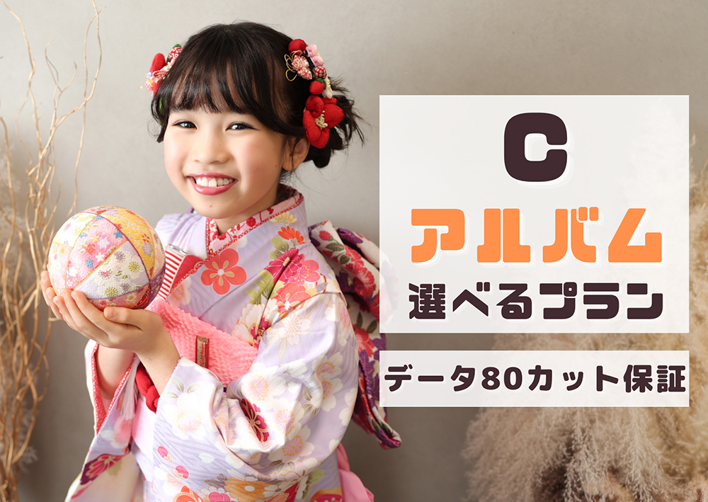 アルバム選べるプラン
