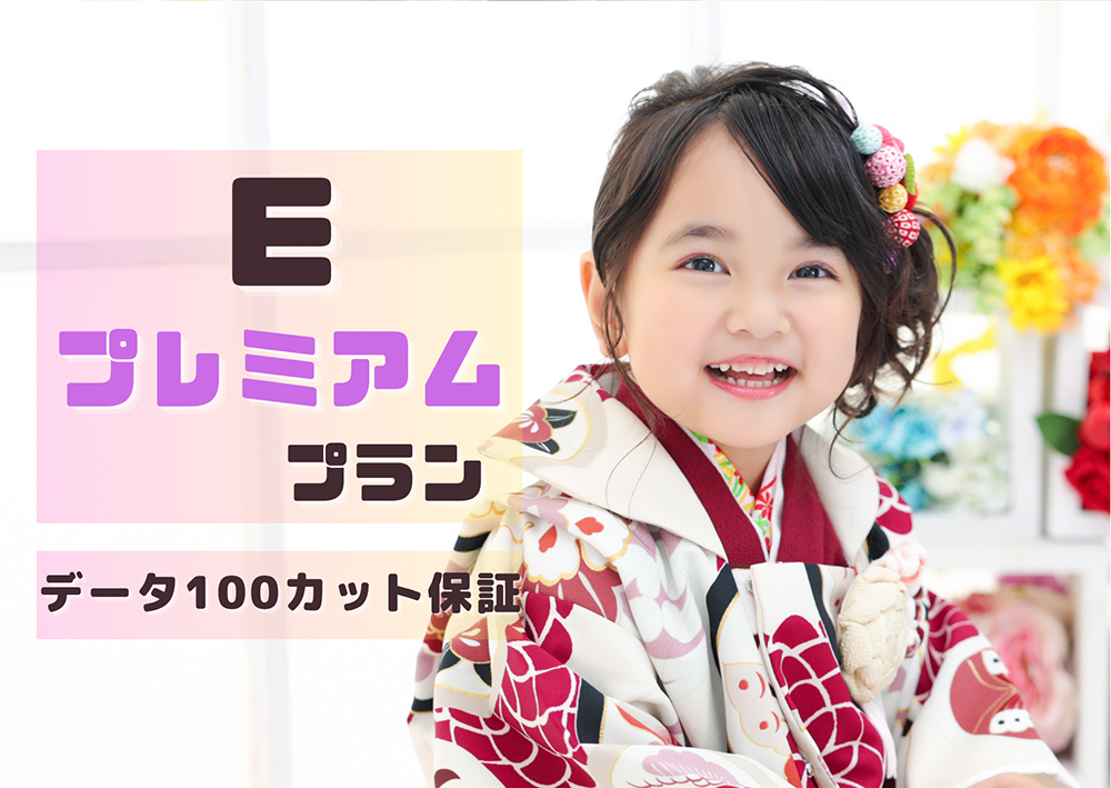 プレミアムプラン