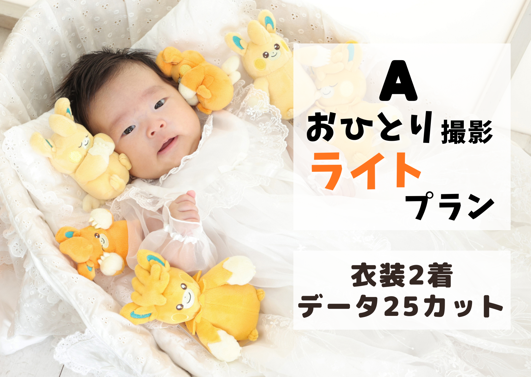 ライトプラン
